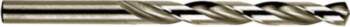 METAL DRILL BITS 10 PCS D3X61