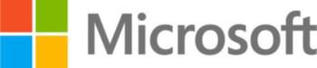 Microsoft Project Professional 2021 - license