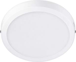 Philips Functional Magneos Ceiling Light 210mm