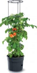 Prosperplast Pot for tomatoes Tomato Grower