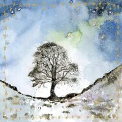 S561 Tree pass 5063187005065