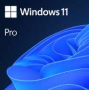 SoftwareMICROSOFTWin 11 Pro GGK 64Bit Eng