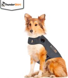 ThunderShirt - Compression shirt L 18-29