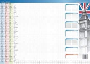 Visual System Biuwar - Irregular verbs