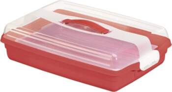 Cake transport box rectangular 45x29 5x11