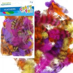 Craft with Fun FEATHER DECORATION 2G