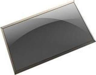 Dell LCD Non Touch Screen 15