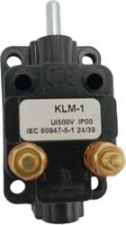 Double limit switch switching plastic straight