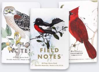 Field Notes Notes Field Notes Birds