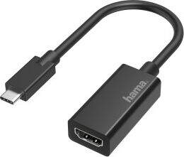 Hama Video Adapter USB-C Plug -