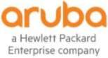 HPE Aruba NetEdit Single Node 1yr