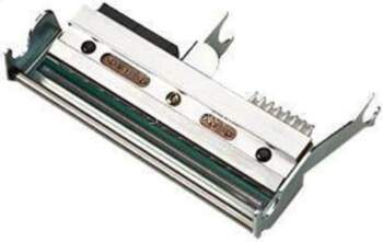Intermec - 203 dpi - Druckkopf