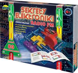 Secrets of electronics mini + FM