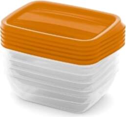 Set of food dishes rectangular 5x0