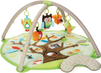 Skip Hop - Activity Gym -