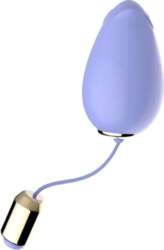 Vibrating Vaginal Egg Massager Remote Control
