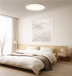 Xiaomi Smart Ceiling Light D40  45