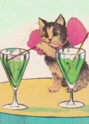 B6 pass with envelope Cat and
