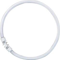 Compact fluorescent lamp Osram Osram Circular