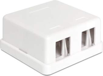 Delock Keystone Module Wall Mount Box