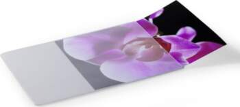 DURABLE Mouse Pad Plus mit Fotoeinschub