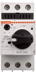 Engine switch SM1R0400 with paddle 2