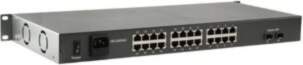 LEVELONE Switch 24x FE FGP-2602 2xGSFP