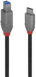 Lindy 1m USB 3.2 Type