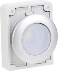 Push button 30mm flat white with