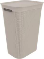 Rotho Brisen 50 L Rectangular Plastic
