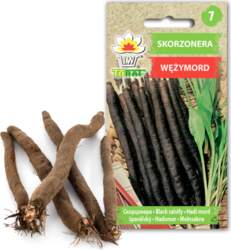 Black Salsify Duplex Toraf Vegetable Seeds