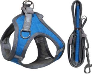 Chest strap for dogs  size M