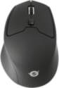 Conceptronic LORCAN02B Ergo mouse Office Right-hand