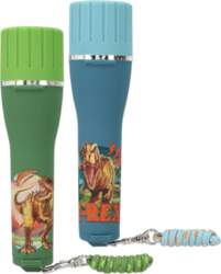Dino World - Torch With Timer