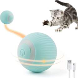 ILike Cita prece iLike  iBL Interactive