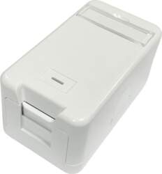 Lanview Surface mount box for 1