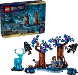 LEGO HARRY POTTER 76475 Forbidden Forest