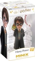 MINIX HARRY POTTER - HARRY POTTER