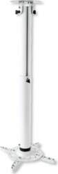 Techly Universal projector ceiling mount 50-77