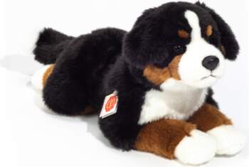 Teddy Hermann - Lying Bernese Mountain