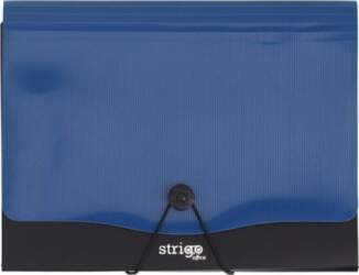 Vfile A4 folder with 13 dividers