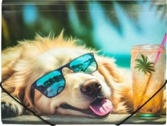 A4 PP folder with Chillout Dog