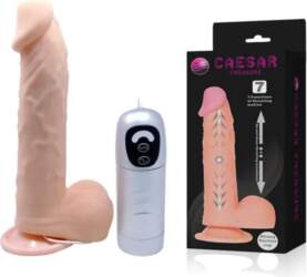 Baile Caesar Treasure Intimate Machine Up