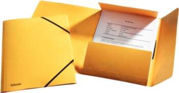 Esselte Folder with corner elastic A4