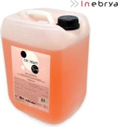 Inebrya Ice Cream Frequent Hair Shampoo