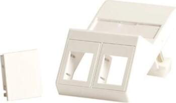 Lanview Wall plate angled for 2