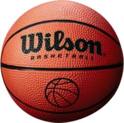Memorysolution WILSON basketball NCAA MICRO B1717