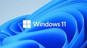 OEM Windows 11 Pro for Workstations