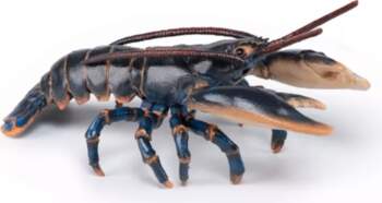Papo Lobster 442873 3465000560522