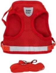 Set  harness + leash  for a